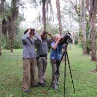 Bird-Watching3-copy